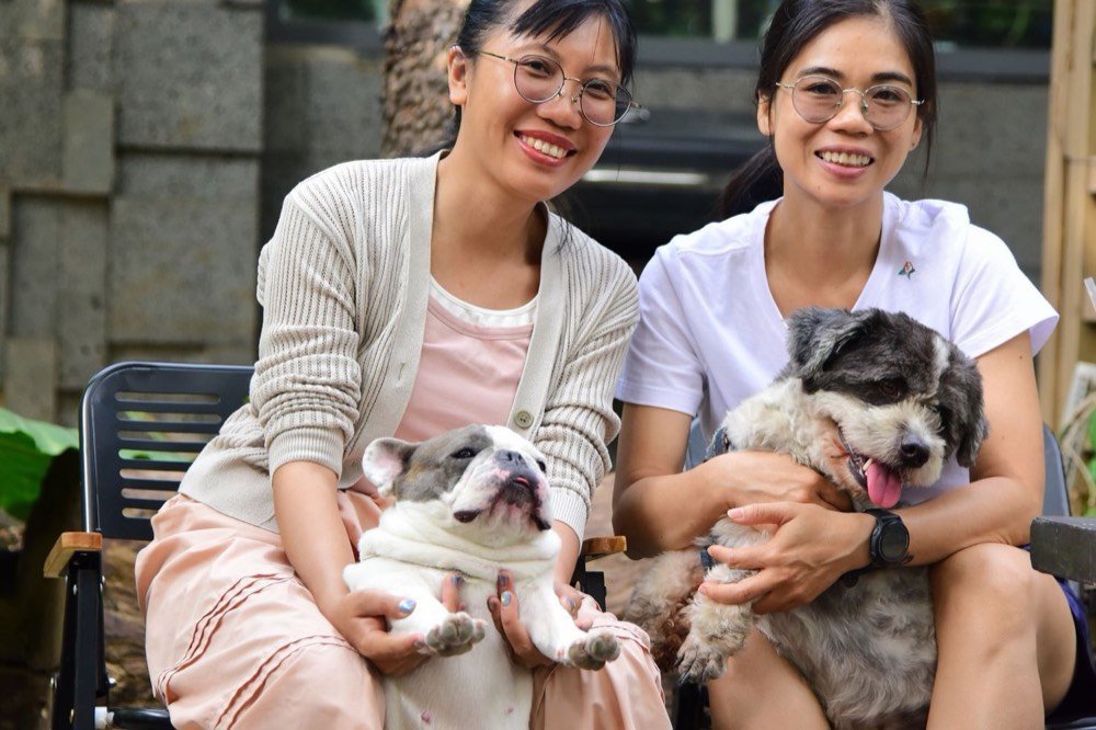 Assicurazioni per animali domestici