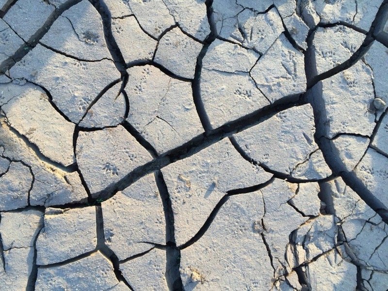 Catastrofi Naturali